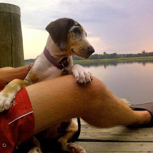 Meet your Posher, Linh